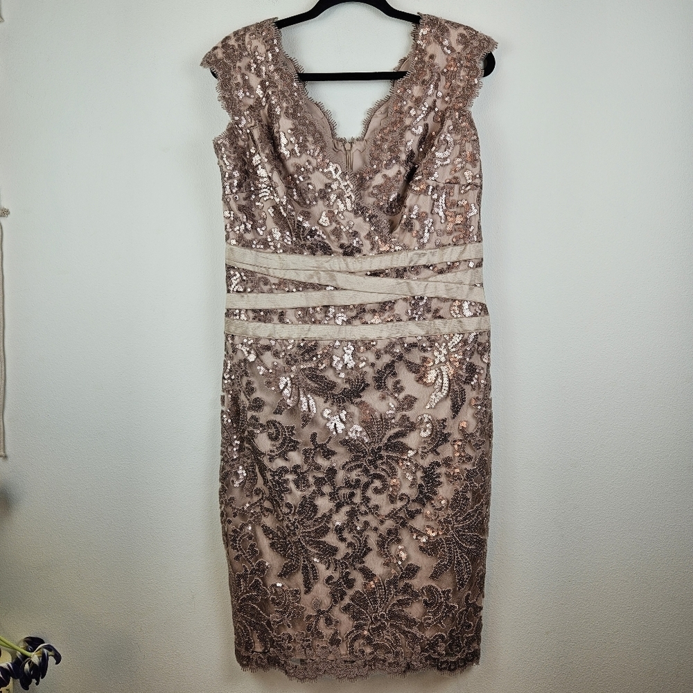 Tadashi Shoji Banded-Waist Sequined Lace Dress Size 12 dusty rose